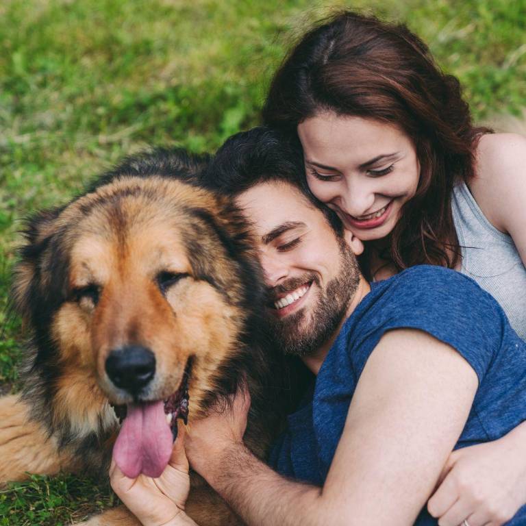 Abrazos para perros: una investigación confirma que los perros prefieren el espacio