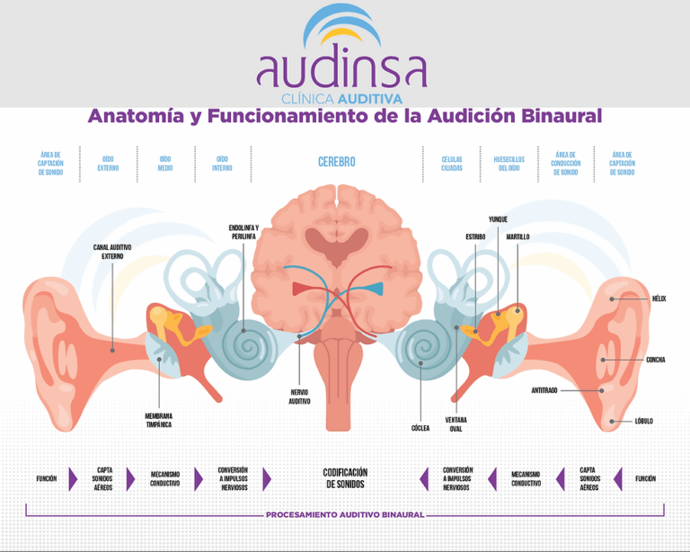Beneficios y efectos secundarios de los sonidos binaurales