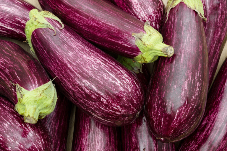 Berenjena o Berenjena: diferencias y usos en recetas