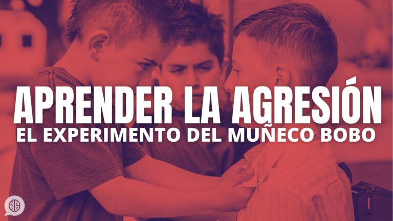 Bobo Doll Studies: Qué nos enseñan sobre la agresión