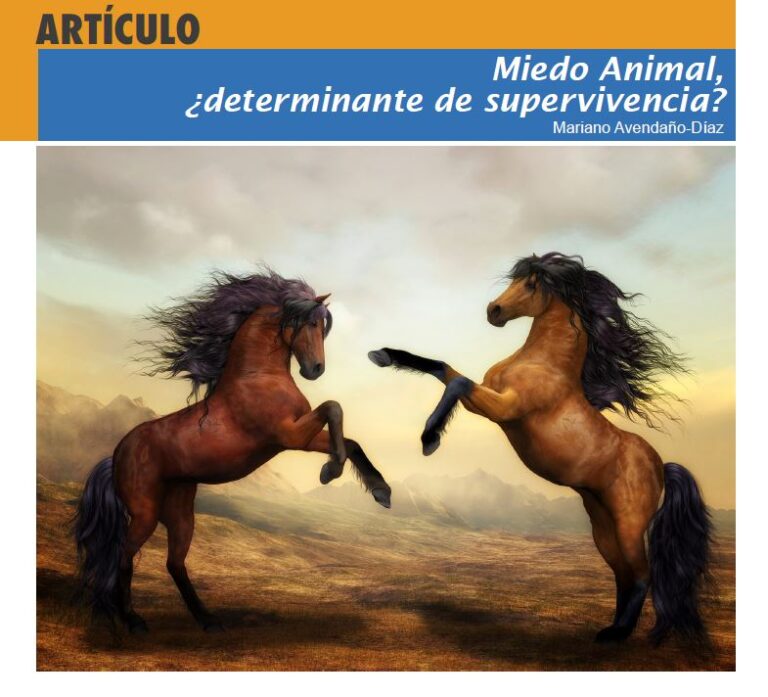 Caballos y humanos: cómo es su relación depredador-presa