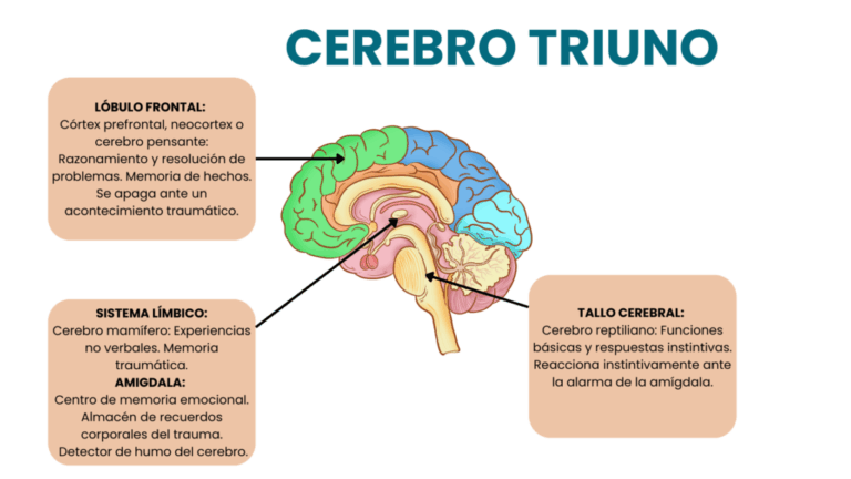 Cerebro reptiliano: Ejemplos de cómo el trauma lo afecta