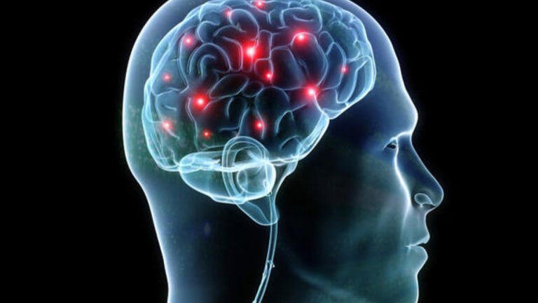 Claustro cerebral: La maravilla de la conciencia en bebés