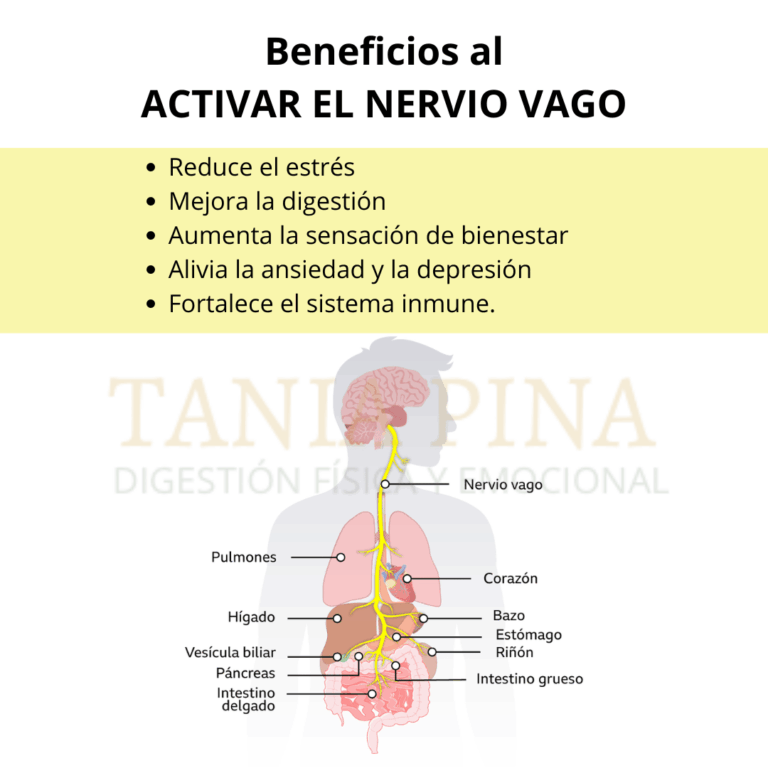 Cómo activar el nervio vago con respiración diafragmática