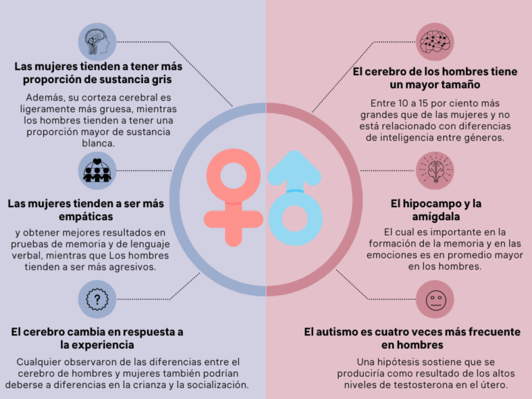 Cómo afectan las diferencias cerebrales a los géneros