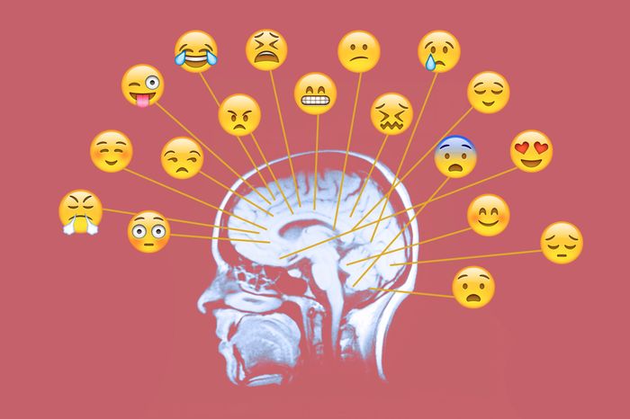 Cómo influye la neurobiología en nuestra vida diaria