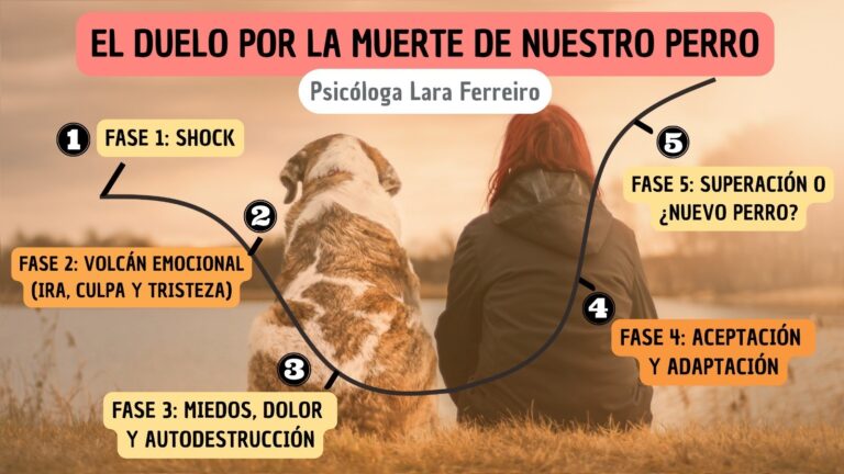 Cómo superar la culpa tras la pérdida de una mascota