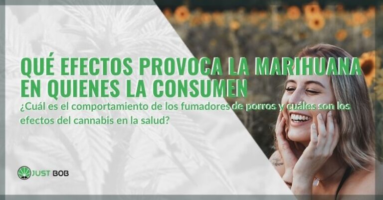 Comportamiento de un marihuano: Los efectos de la marihuana