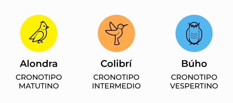 Conoces los diferentes cronotipos y cuál es el tuyo
