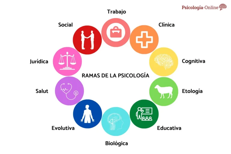 Cuáles son las carreras y oportunidades en psicología