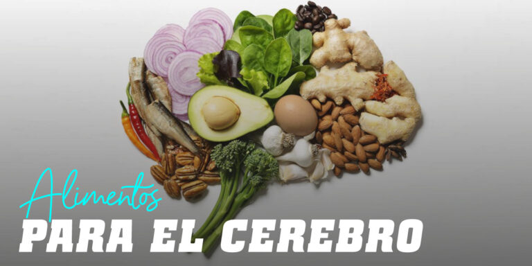 Cuales son las mejores dietas para la salud cerebral