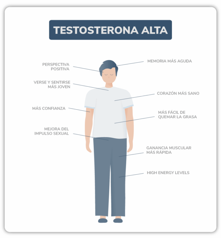 Cuáles son los efectos psicológicos de la testosterona