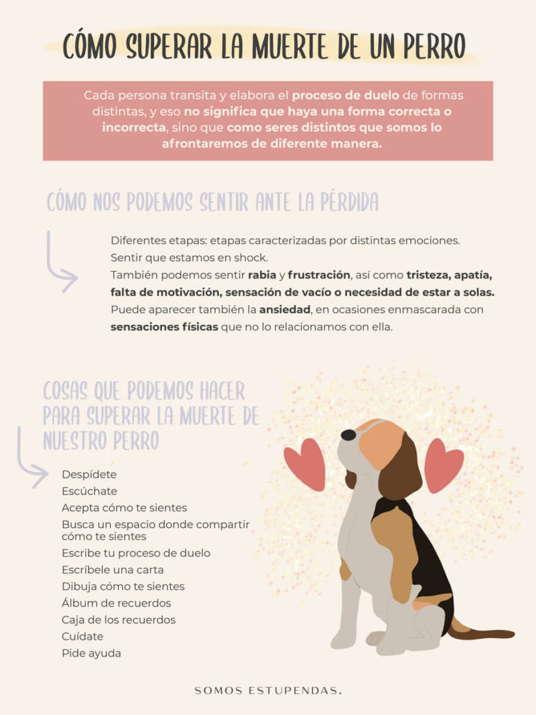 Depresión por muerte de mascota: Cómo superar este dolor