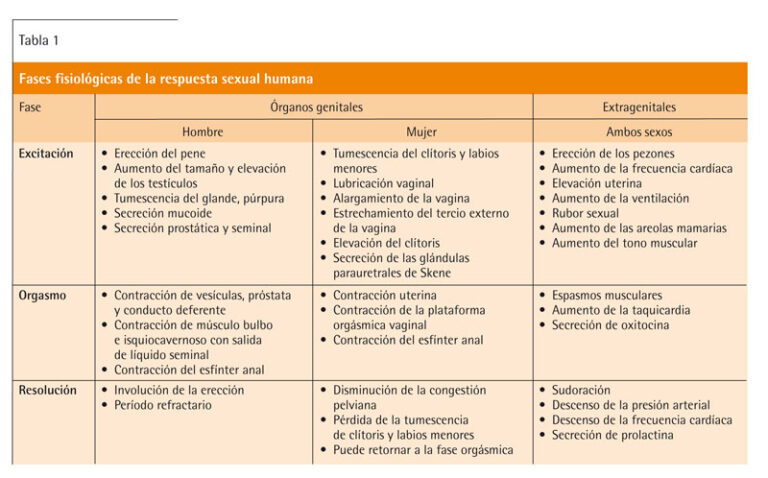 Deseo sexual: Diferencias en hombres y mujeres explicadas