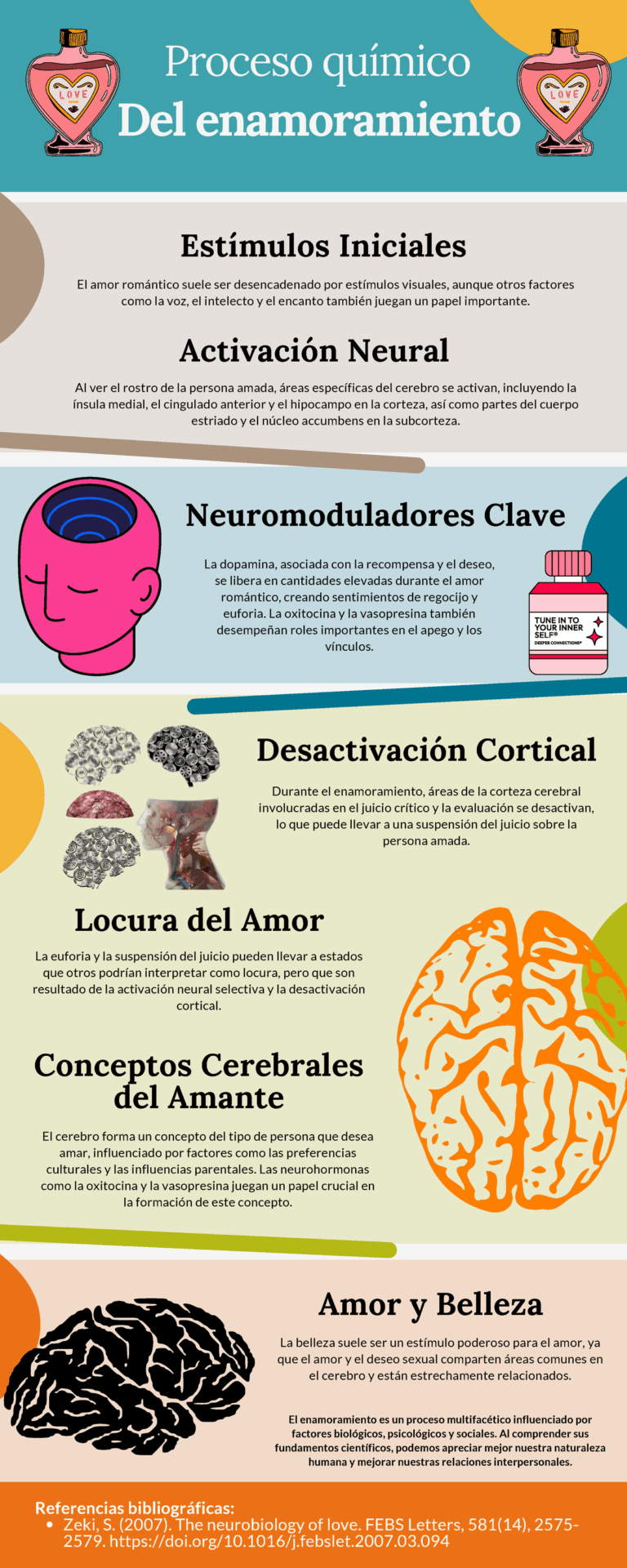 Diferencia entre amor y apego: el papel de la vasopresina