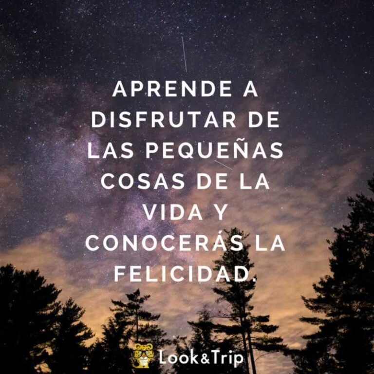 Disfrutando de las pequeñas cosas: una guía para encontrar alegría en la vida