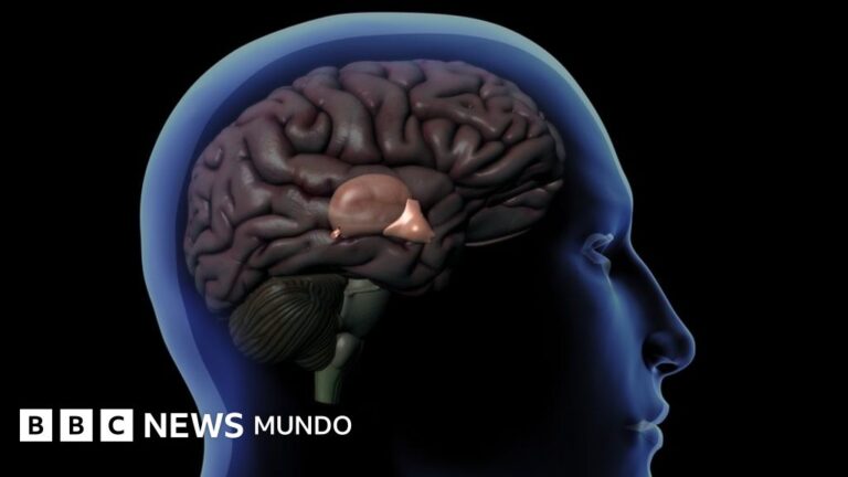 DMT: origen, experiencias y relación con la glándula pineal