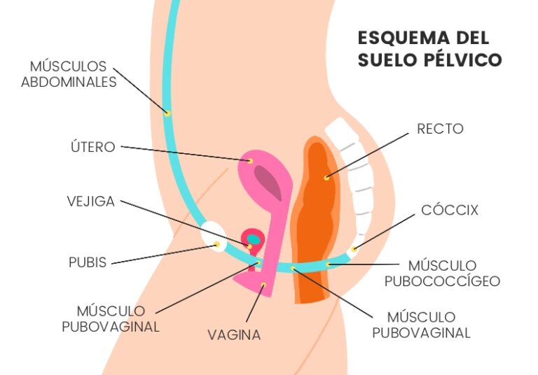 Dolor de huevos por excitación: y los ombligos son sexis