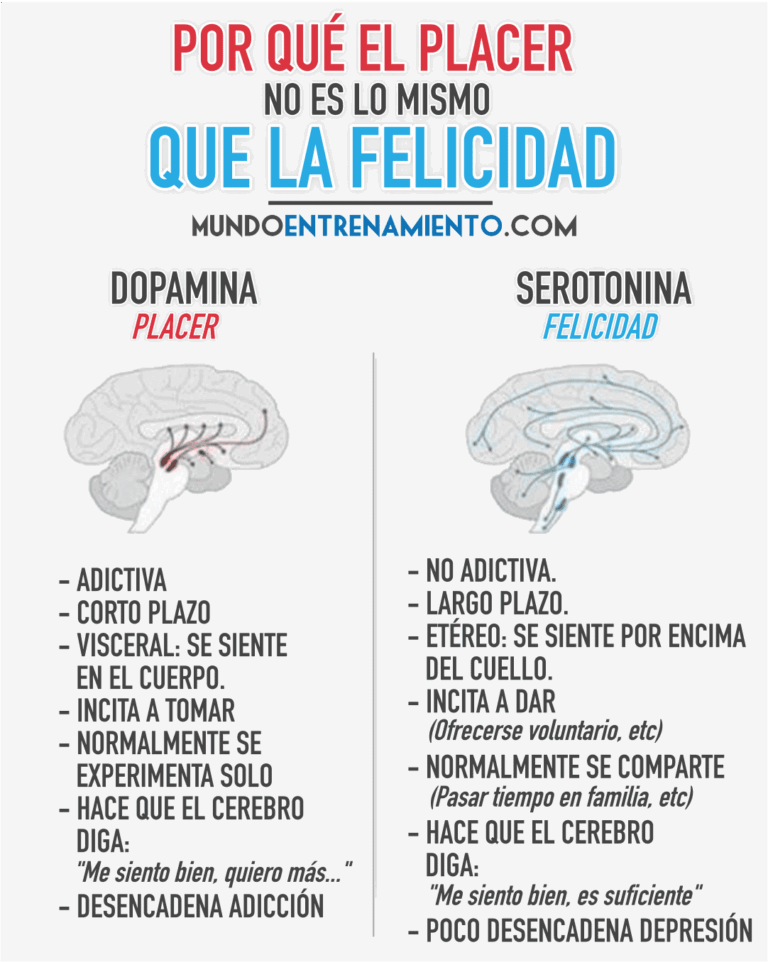 Dopamina: Significado, Funciones y Alimentos que la Aumentan
