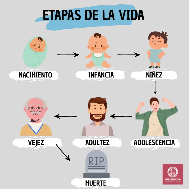 Edades Sociales: Descubre Cuál es Tu Verdadera Edad