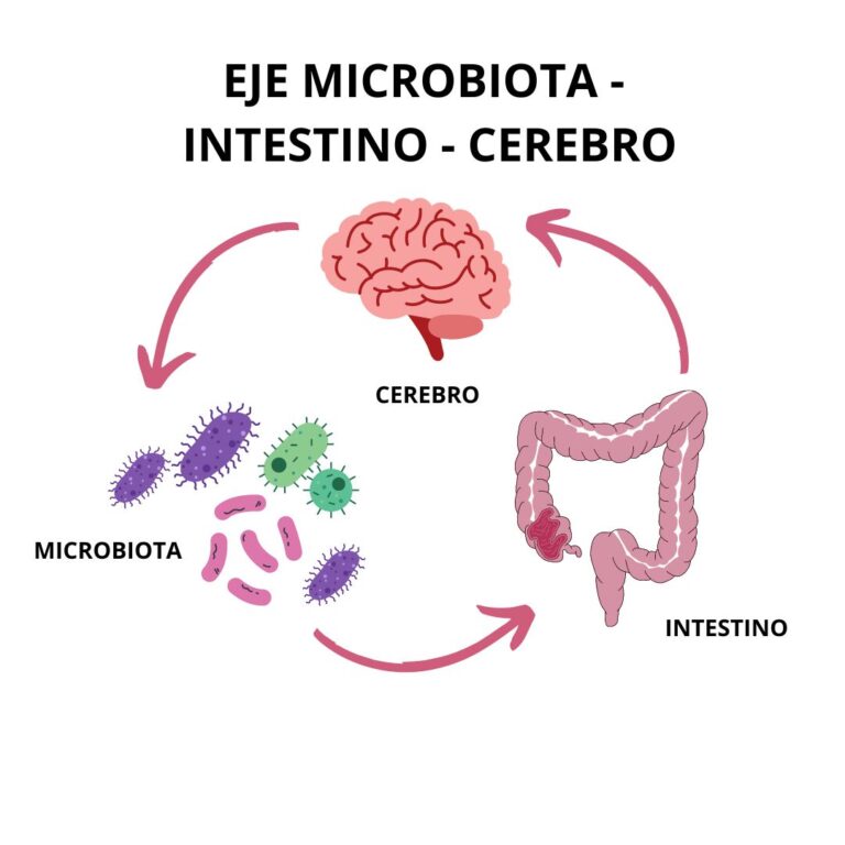 Eje intestino-cerebro: Su Importancia Revelada en la Salud Mental