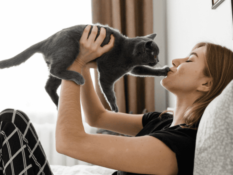 El amor y los gatos: descubre qué te hace amarlos aún más