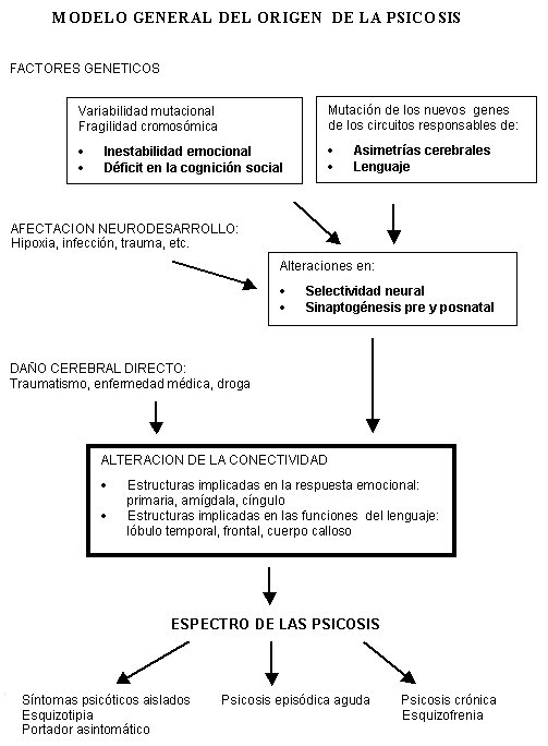 El darwinismo social destaca rasgos negativos de personalidad