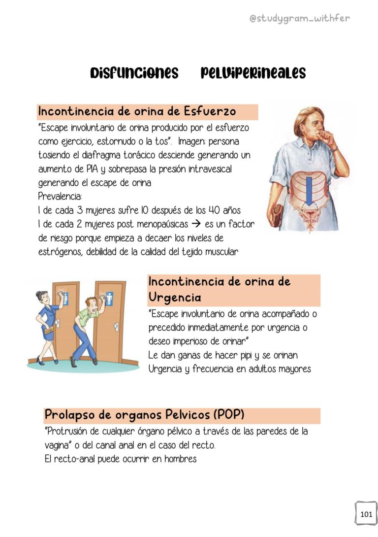 Enfoque tipo láser: Escapa de la distracción sin fin