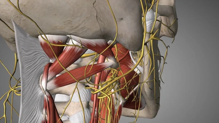Es la estimulación del nervio vago una terapia innovadora