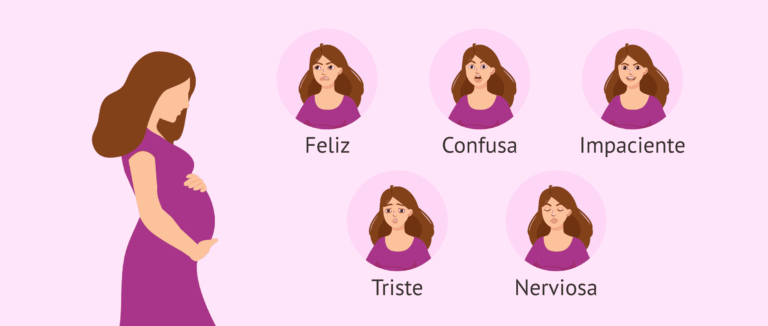 Estresarnos antes de nacer: el impacto prenatal en la vida