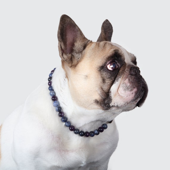 Katt Keya: Puede tu perro ser tu terapeuta emocional