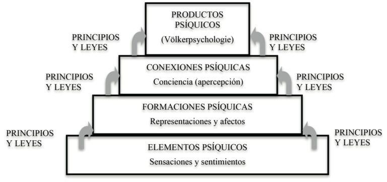 La entropía en psicología refleja la naturaleza de la mente.