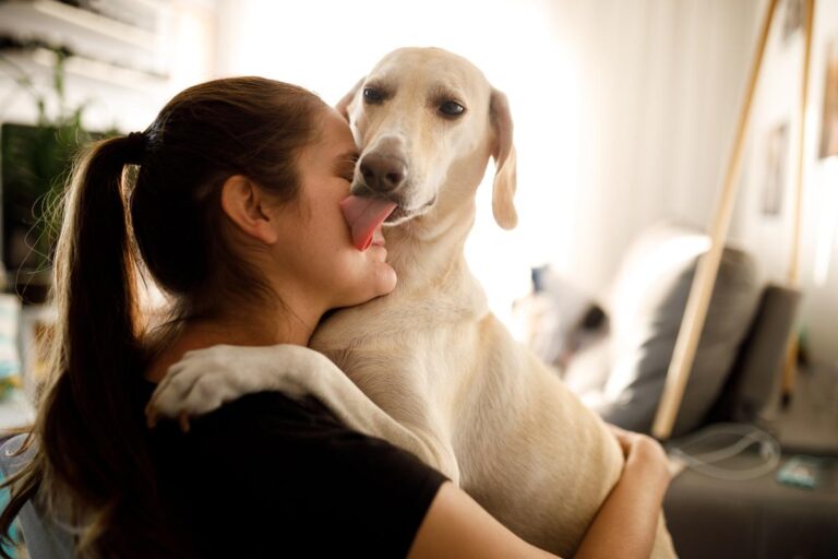 Lamiendo la cara: por qué los perros te lamen y qué significa