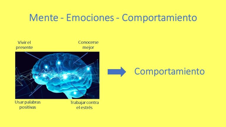 Mente, cerebro y emoción: comprender el pensamiento frente al sentimiento