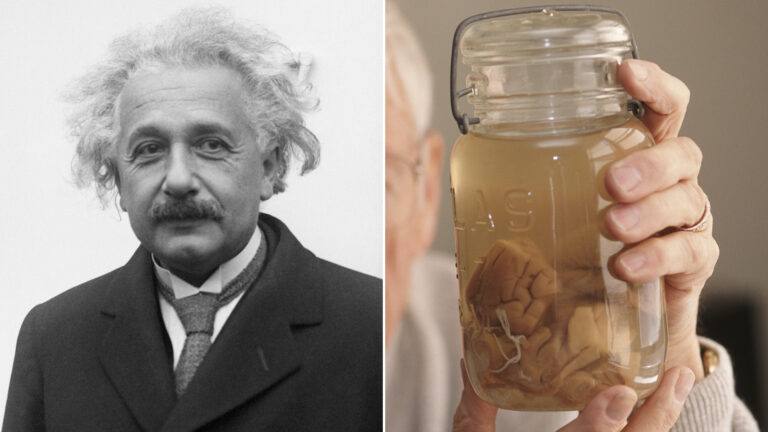 Muerte de Albert Einstein: Es realmente el fin del camino