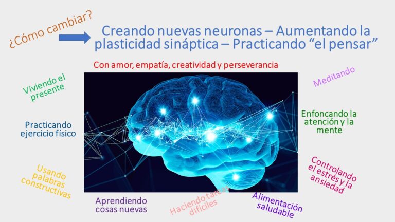 Neuroplasticidad: Qué es y por qué es crucial para tu mente