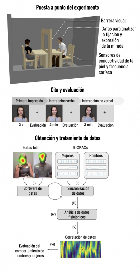 Nuestras respuestas fisiológicas predicen la atracción