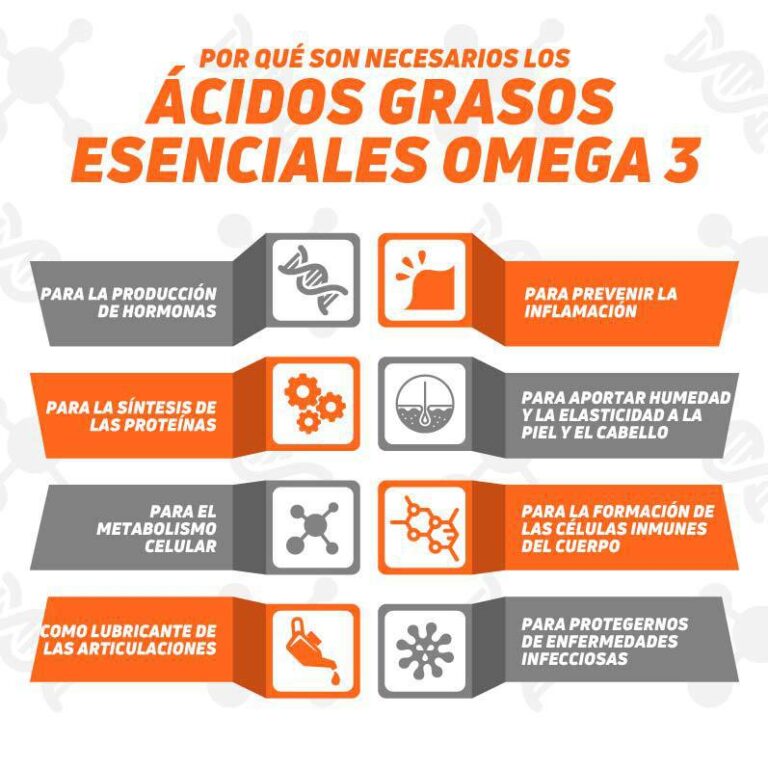 Omega-3: Beneficios, Funciones y Su Impacto en la Memoria