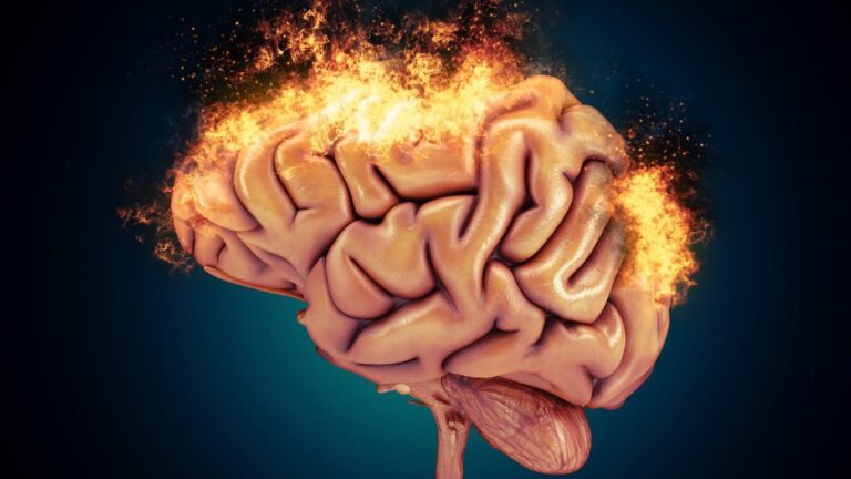 Pero desayuné: se explican los efectos sobre la salud del cerebro