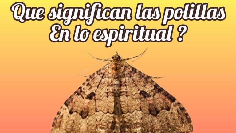 Polilla a la llama: Descubre el significado y su simbología