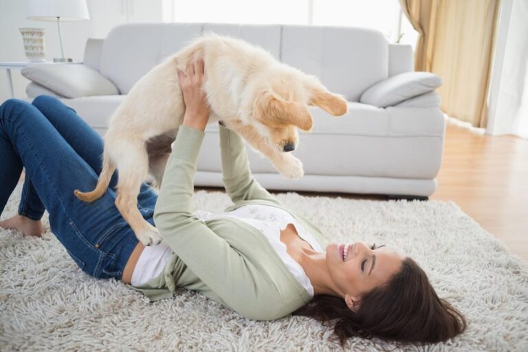 Por qué el perro llora de felicidad al volver a casa