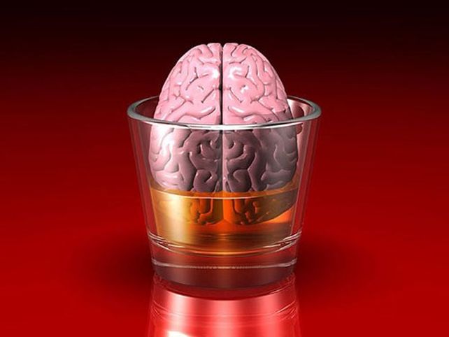 ¿Por qué las personas inteligentes consumen más alcohol?