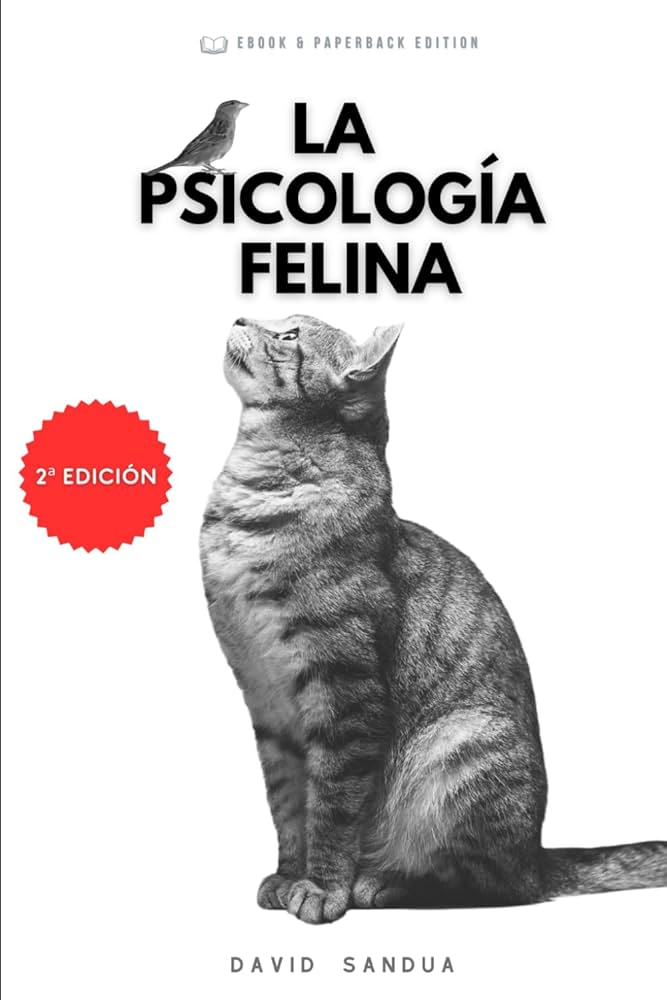 Psicología de un gato: 15 datos importantes sobre los gatos