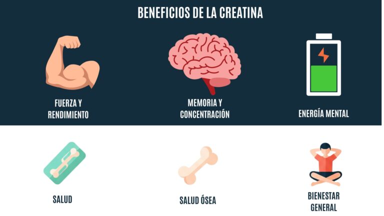 Puede la Creatina mejorar la memoria y la salud mental.