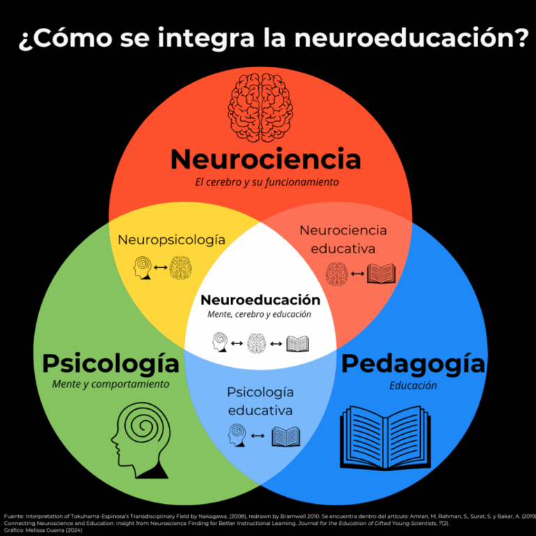 Qué dice la neurociencia sobre conexión y seguridad humana