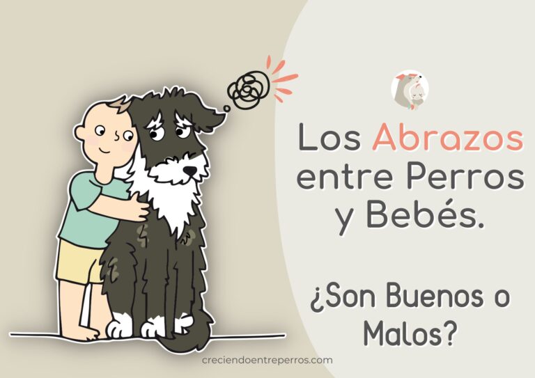 Qué dicen las investigaciones sobre abrazos a los perros