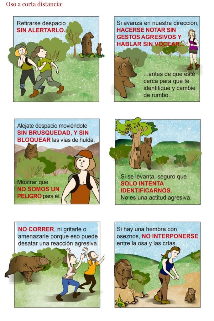 Qué diferencias psicológicas existen entre ataques de osos