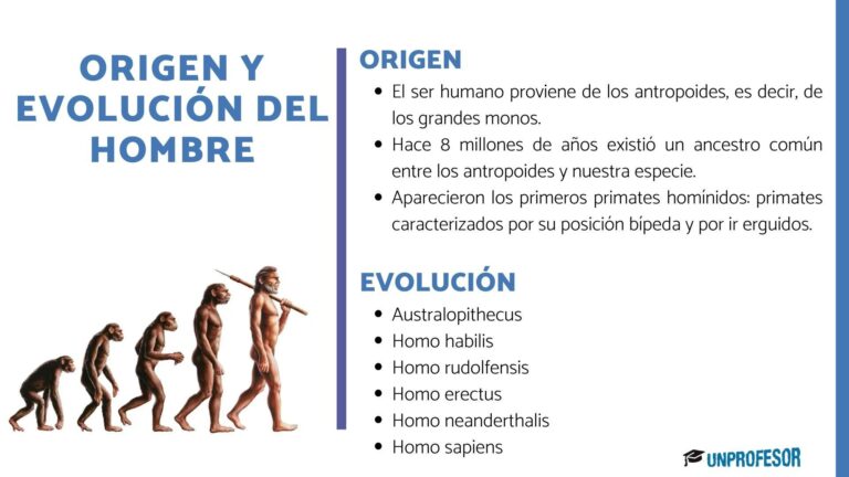 Qué es el aspecto humano y su importancia en la especie