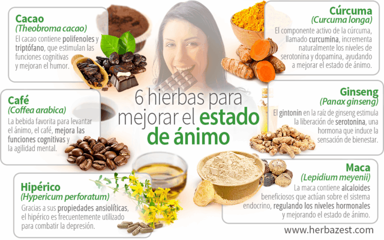 Qué medicamentos y métodos naturales aumentan la dopamina.