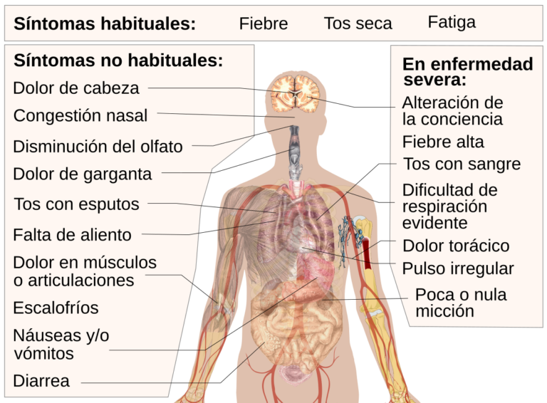 Qué significa que una persona estaría con frecuencia